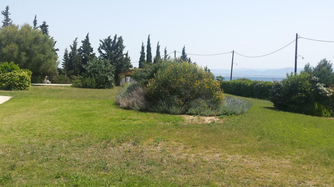 Beautiful House By The Sea,Loutraki Skaloma. Villa Dış mekan fotoğraf